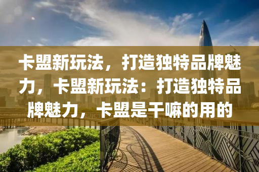 卡盟新玩法，打造独特品牌魅力，卡盟新玩法：打造独特品牌魅力，卡盟是干嘛的用的