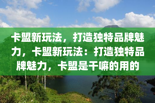 卡盟新玩法，打造独特品牌魅力，卡盟新玩法：打造独特品牌魅力，卡盟是干嘛的用的