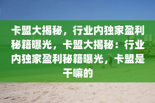 卡盟大揭秘，行业内独家盈利秘籍曝光，卡盟大揭秘：行业内独家盈利秘籍曝光，卡盟是干嘛的