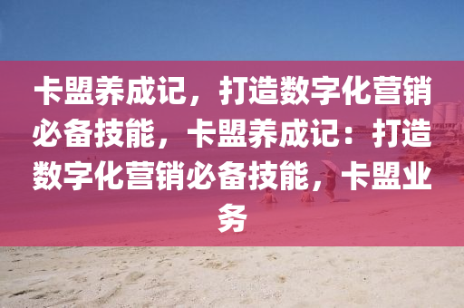卡盟养成记，打造数字化营销必备技能，卡盟养成记：打造数字化营销必备技能，卡盟业务