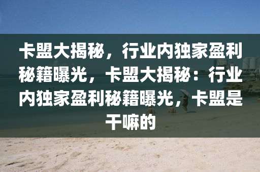 卡盟大揭秘，行业内独家盈利秘籍曝光，卡盟大揭秘：行业内独家盈利秘籍曝光，卡盟是干嘛的