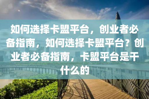 如何选择卡盟平台，创业者必备指南，如何选择卡盟平台？创业者必备指南，卡盟平台是干什么的