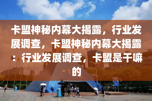 卡盟神秘内幕大揭露，行业发展调查，卡盟神秘内幕大揭露：行业发展调查，卡盟是干嘛的