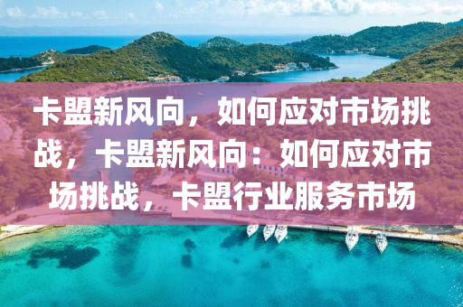 卡盟新风向，如何应对市场挑战，卡盟新风向：如何应对市场挑战，卡盟行业服务市场