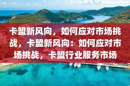 卡盟新风向，如何应对市场挑战，卡盟新风向：如何应对市场挑战，卡盟行业服务市场