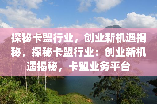探秘卡盟行业，创业新机遇揭秘，探秘卡盟行业：创业新机遇揭秘，卡盟业务平台