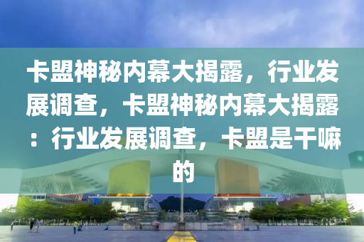 卡盟神秘内幕大揭露，行业发展调查，卡盟神秘内幕大揭露：行业发展调查，卡盟是干嘛的