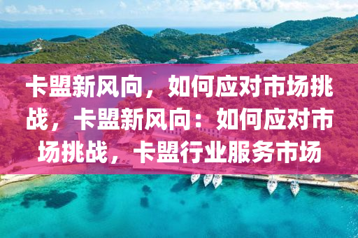 卡盟新风向，如何应对市场挑战，卡盟新风向：如何应对市场挑战，卡盟行业服务市场