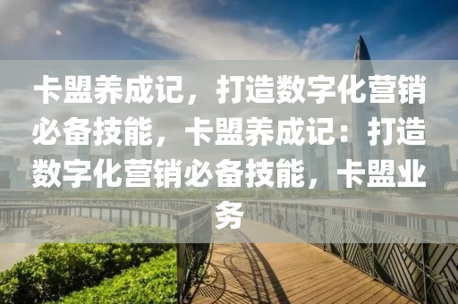 卡盟养成记，打造数字化营销必备技能，卡盟养成记：打造数字化营销必备技能，卡盟业务