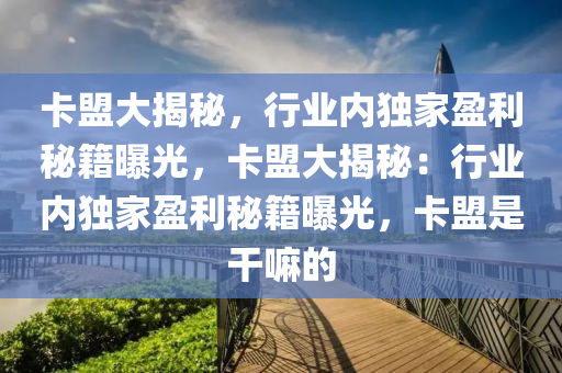 卡盟大揭秘，行业内独家盈利秘籍曝光，卡盟大揭秘：行业内独家盈利秘籍曝光，卡盟是干嘛的