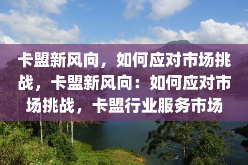卡盟新风向，如何应对市场挑战，卡盟新风向：如何应对市场挑战，卡盟行业服务市场