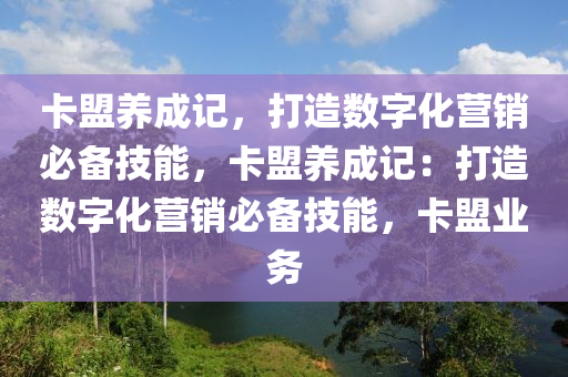 卡盟养成记，打造数字化营销必备技能，卡盟养成记：打造数字化营销必备技能，卡盟业务