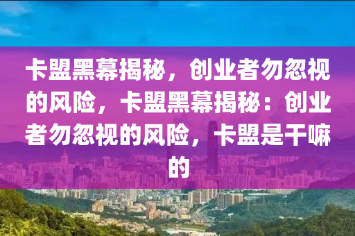 卡盟黑幕揭秘，创业者勿忽视的风险，卡盟黑幕揭秘：创业者勿忽视的风险，卡盟是干嘛的