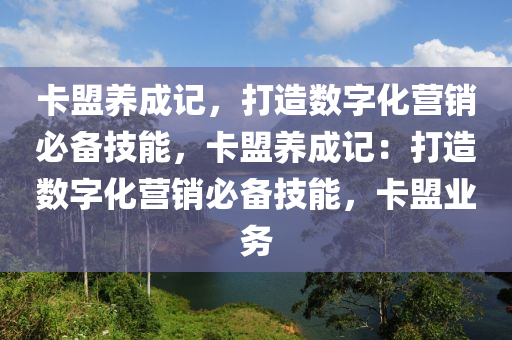 卡盟养成记，打造数字化营销必备技能，卡盟养成记：打造数字化营销必备技能，卡盟业务