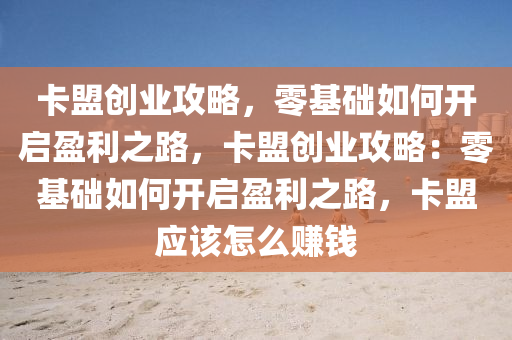 卡盟创业攻略，零基础如何开启盈利之路，卡盟创业攻略：零基础如何开启盈利之路，卡盟应该怎么赚钱