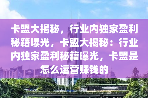卡盟大揭秘，行业内独家盈利秘籍曝光，卡盟大揭秘：行业内独家盈利秘籍曝光，卡盟是怎么运营赚钱的