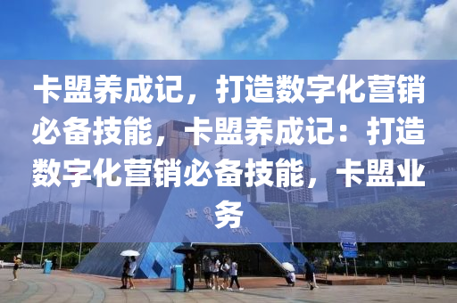 卡盟养成记，打造数字化营销必备技能，卡盟养成记：打造数字化营销必备技能，卡盟业务