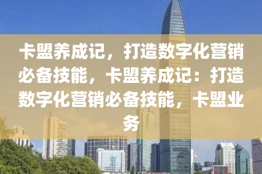 卡盟养成记，打造数字化营销必备技能，卡盟养成记：打造数字化营销必备技能，卡盟业务