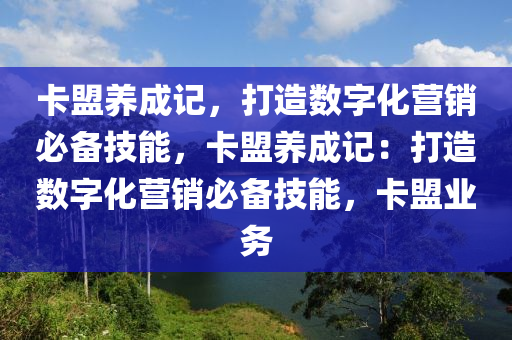 卡盟养成记，打造数字化营销必备技能，卡盟养成记：打造数字化营销必备技能，卡盟业务