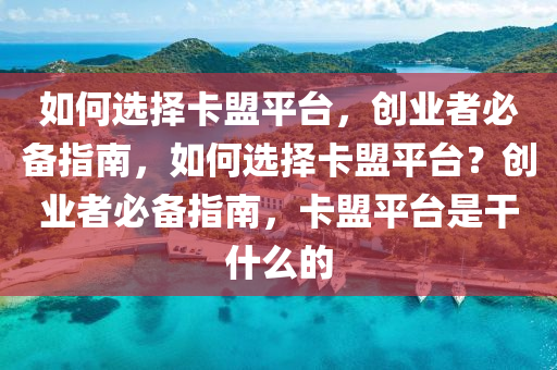 如何选择卡盟平台，创业者必备指南，如何选择卡盟平台？创业者必备指南，卡盟平台是干什么的