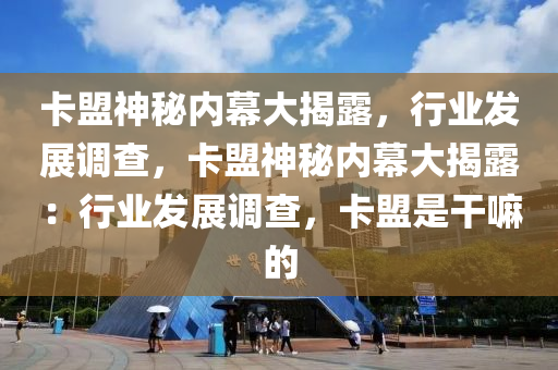 卡盟神秘内幕大揭露，行业发展调查，卡盟神秘内幕大揭露：行业发展调查，卡盟是干嘛的