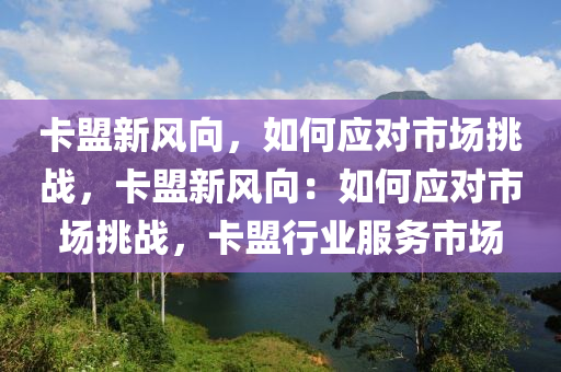 卡盟新风向，如何应对市场挑战，卡盟新风向：如何应对市场挑战，卡盟行业服务市场