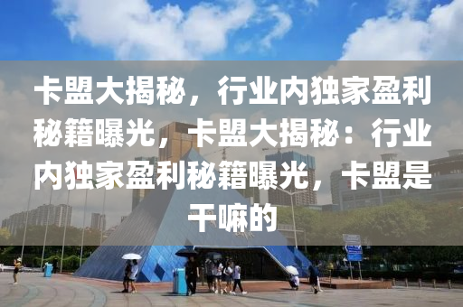 卡盟大揭秘，行业内独家盈利秘籍曝光，卡盟大揭秘：行业内独家盈利秘籍曝光，卡盟是干嘛的