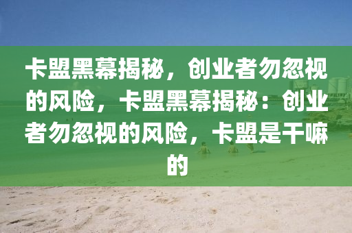 卡盟黑幕揭秘，创业者勿忽视的风险，卡盟黑幕揭秘：创业者勿忽视的风险，卡盟是干嘛的
