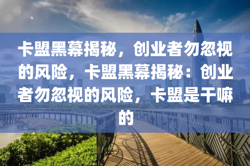 卡盟黑幕揭秘，创业者勿忽视的风险，卡盟黑幕揭秘：创业者勿忽视的风险，卡盟是干嘛的