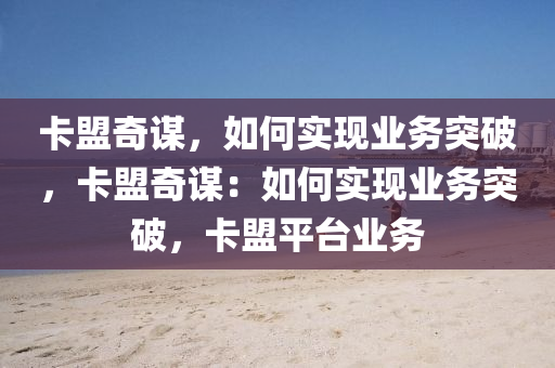 卡盟奇谋，如何实现业务突破，卡盟奇谋：如何实现业务突破，卡盟平台业务
