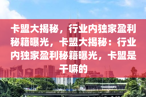 卡盟大揭秘，行业内独家盈利秘籍曝光，卡盟大揭秘：行业内独家盈利秘籍曝光，卡盟是干嘛的