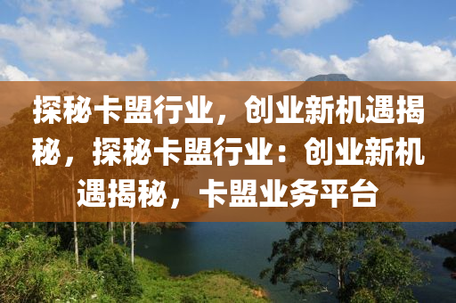探秘卡盟行业，创业新机遇揭秘，探秘卡盟行业：创业新机遇揭秘，卡盟业务平台