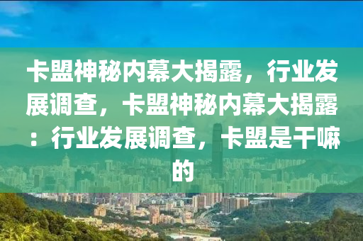 卡盟神秘内幕大揭露，行业发展调查，卡盟神秘内幕大揭露：行业发展调查，卡盟是干嘛的