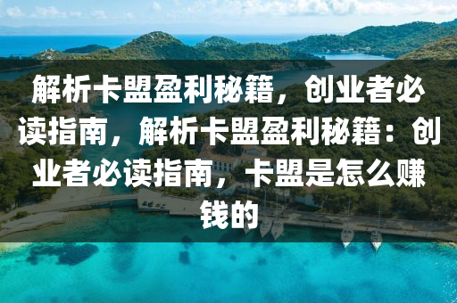 解析卡盟盈利秘籍，创业者必读指南，解析卡盟盈利秘籍：创业者必读指南，卡盟是怎么赚钱的