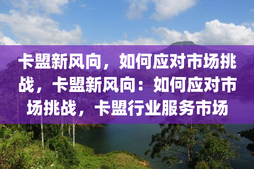 卡盟新风向，如何应对市场挑战，卡盟新风向：如何应对市场挑战，卡盟行业服务市场