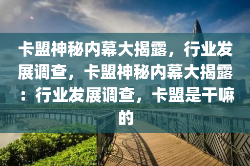 卡盟神秘内幕大揭露，行业发展调查，卡盟神秘内幕大揭露：行业发展调查，卡盟是干嘛的