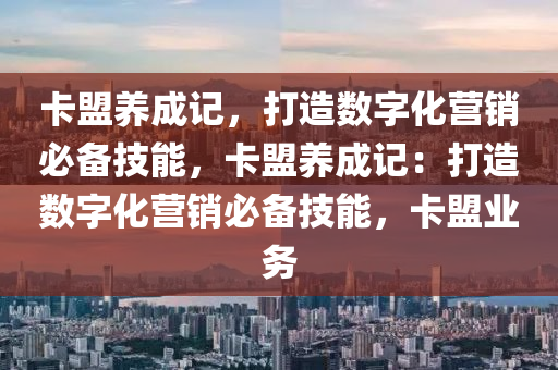 卡盟养成记，打造数字化营销必备技能，卡盟养成记：打造数字化营销必备技能，卡盟业务