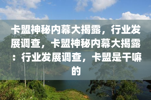 卡盟神秘内幕大揭露，行业发展调查，卡盟神秘内幕大揭露：行业发展调查，卡盟是干嘛的
