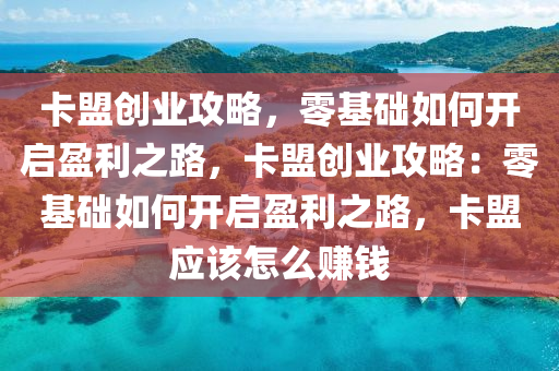 卡盟创业攻略，零基础如何开启盈利之路，卡盟创业攻略：零基础如何开启盈利之路，卡盟应该怎么赚钱