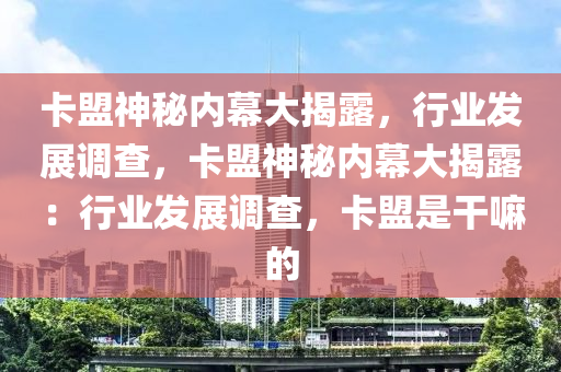卡盟神秘内幕大揭露，行业发展调查，卡盟神秘内幕大揭露：行业发展调查，卡盟是干嘛的