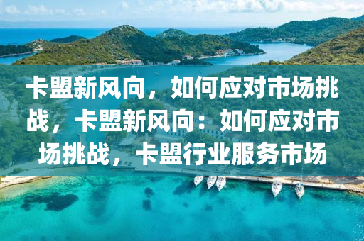 卡盟新风向，如何应对市场挑战，卡盟新风向：如何应对市场挑战，卡盟行业服务市场