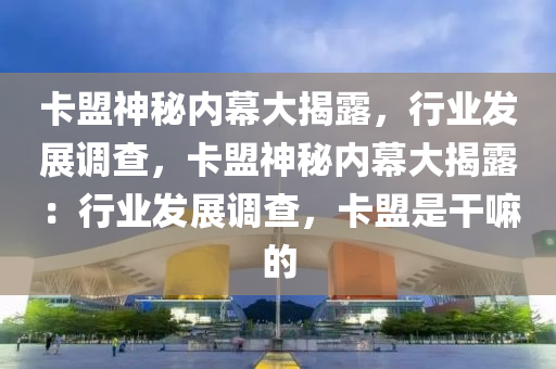 卡盟神秘内幕大揭露，行业发展调查，卡盟神秘内幕大揭露：行业发展调查，卡盟是干嘛的