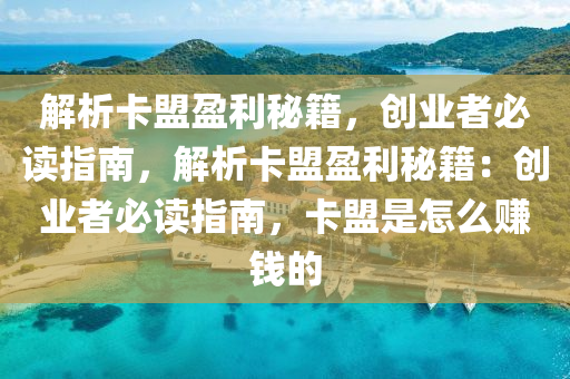 解析卡盟盈利秘籍，创业者必读指南，解析卡盟盈利秘籍：创业者必读指南，卡盟是怎么赚钱的