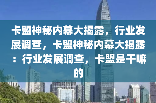 卡盟神秘内幕大揭露，行业发展调查，卡盟神秘内幕大揭露：行业发展调查，卡盟是干嘛的