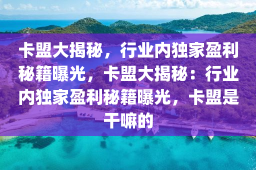 卡盟大揭秘，行业内独家盈利秘籍曝光，卡盟大揭秘：行业内独家盈利秘籍曝光，卡盟是干嘛的