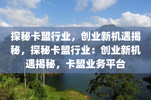 探秘卡盟行业，创业新机遇揭秘，探秘卡盟行业：创业新机遇揭秘，卡盟业务平台