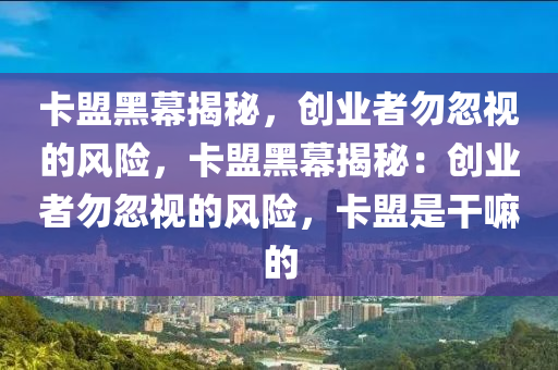 卡盟黑幕揭秘，创业者勿忽视的风险，卡盟黑幕揭秘：创业者勿忽视的风险，卡盟是干嘛的