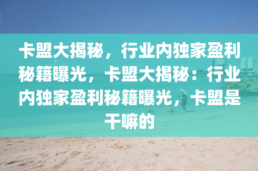 卡盟大揭秘，行业内独家盈利秘籍曝光，卡盟大揭秘：行业内独家盈利秘籍曝光，卡盟是干嘛的