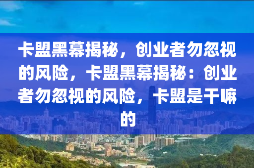 卡盟黑幕揭秘，创业者勿忽视的风险，卡盟黑幕揭秘：创业者勿忽视的风险，卡盟是干嘛的