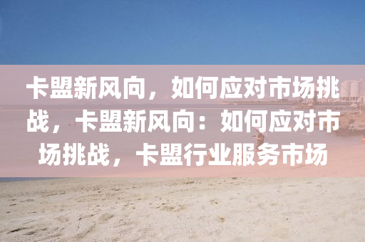 卡盟新风向，如何应对市场挑战，卡盟新风向：如何应对市场挑战，卡盟行业服务市场